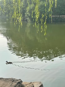 江畔吟詩
