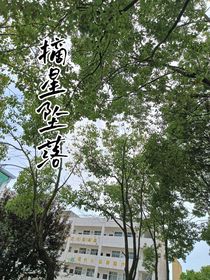 摘星坠落