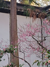 我在规则怪谈学校生存