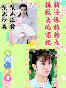 新还珠格格摄政王的宠妃