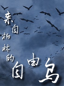 来自柏林的自由鸟