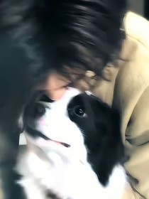 all轩：被治愈的爱
