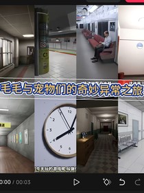 毛毛与宠物们的奇妙异常之旅