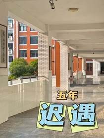 五年迟遇