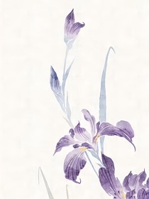 鳶尾之骨生花