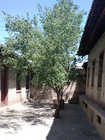 放纵——
