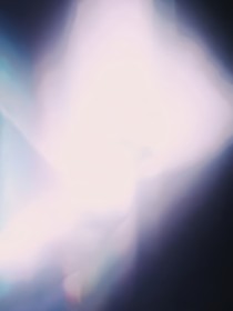 阳光下的陈述