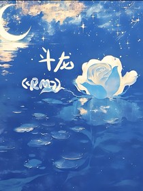 斗龍—RM
