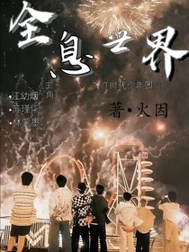 TNT：全息世界——双界面