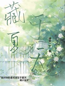 藏于夏天