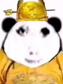 玫瑰誕生