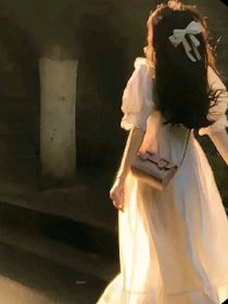 落花时节又逢君1589
