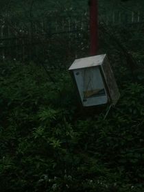 噩梦邀请函