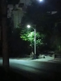 暗戀就是一顆顆青梅果