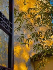 老铁，别太荒谬