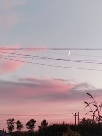 一封春日來信