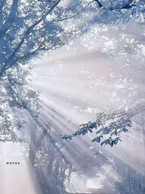 只为与你相时-d147