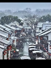 致一個(gè)終于下雪的冬天