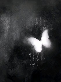 空校異蝶