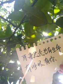 平常简单的生活方式