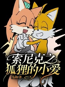 索尼克之狐狸的小爱