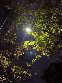 書名正在修改1720978131824776837