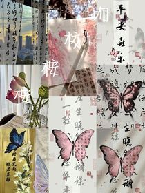 桉桉校吻
