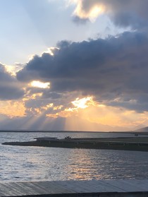 MBTI十五日