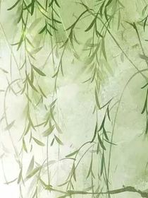 这是什么鸟不拉屎的地方？？