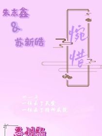 苏朱：惋惜（后续）