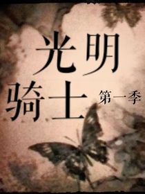 光明骑士