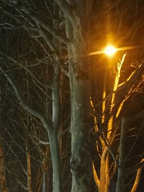 覺醒女主之所有人都跟著我吃瓜