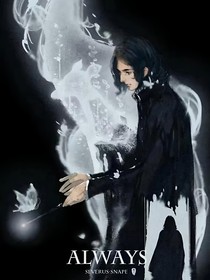 HP斯内普HiddenLove