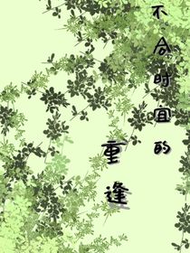 不和事宜的重逢