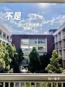 不是，为什么补课要这样啊！！