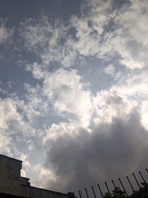文章隨筆