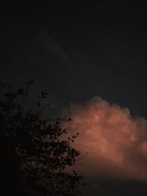 似锦予你