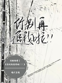 你别再追我啦！！