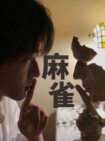 麻雀记