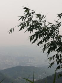 此地長(zhǎng)眠者，生命水上書(shū)
