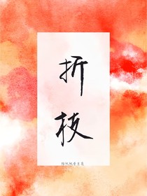 Rapper：折枝
