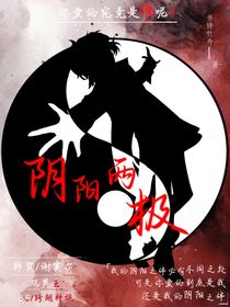 阴阳两极……双男主