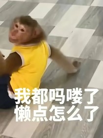 乱世浮尘，忆往昔