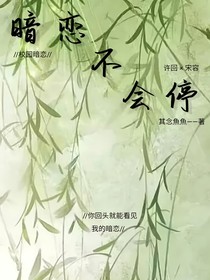 暗恋不会停