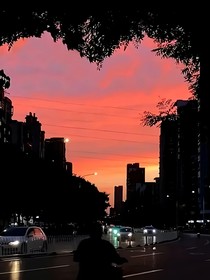 未来由我陪着
