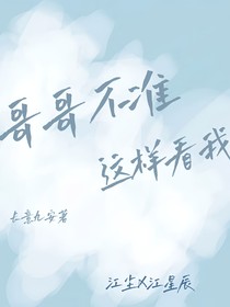哥哥不準(zhǔn)這樣看我