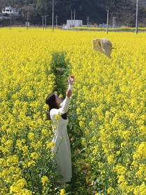 烟花易逝，再见青春