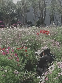 外婆与海