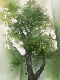原来只是我的执念
