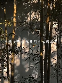用段子明的視角打開無根攻略